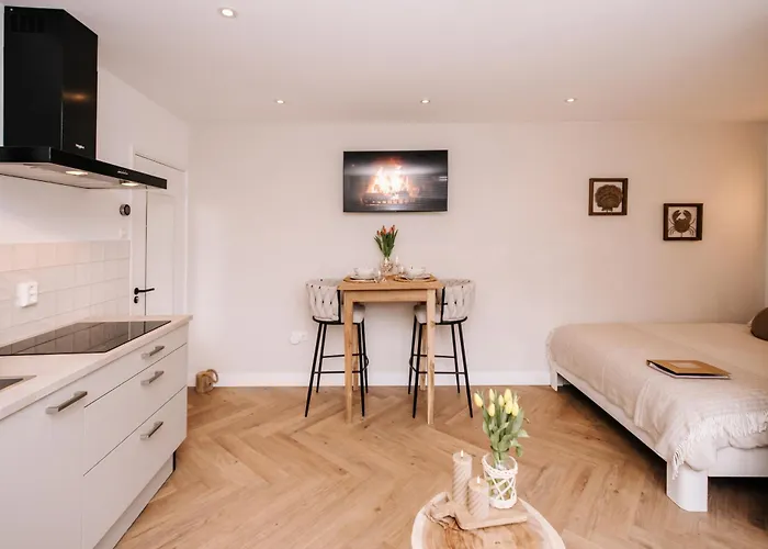 Casa La Vida House&free Bikes 4* Zandvoort